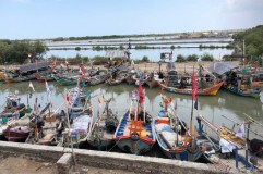 Produktivitas Ikan Bandeng Losari Cirebon Menurun, Penjarahan di Tambak Marak Sejak 8 Tahun Terakhir