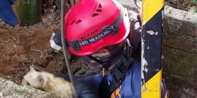 Kucing Jatuh ke Sumur Sedalam 8 Meter di Cisaat Sukabumi, Selamat Berkat Gerak Cepat Petugas Rescue Damkar