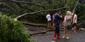 Breaking News: Foto-foto Setelah Hujan Es Terjang Cimahi