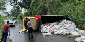 Dikemudikan Pelajar 22 Tahun, Mobil Pengangkut Pupuk Terguling di Palabuhanratu Sukabumi