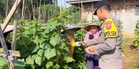 Gelar Kegiatan Jumat Berkah di Lahan Ketahanan Pangan, Kapolsek Caringin Sukabumi Bantu Pekerja Kebun