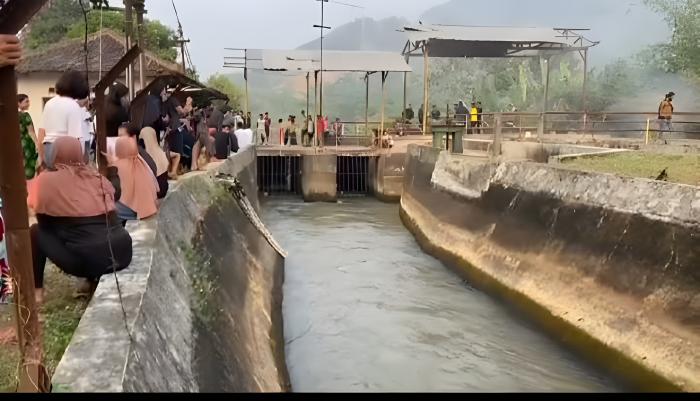 Tewas di Pintu Air Ubrug Sukabumi Usai Diduga Santap Mie Campur Kecubung, Kenali Bahayanya Tanaman Hias ini