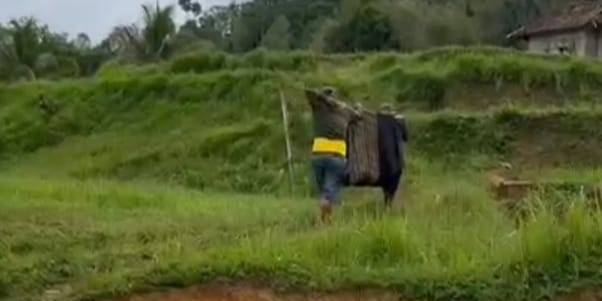 Eksklusif!!! Foto-Foto Dramatis Evakuasi Ibu Hamil Korban Longsor di Pabuaran Sukabumi ke RSUD Jampangkulon