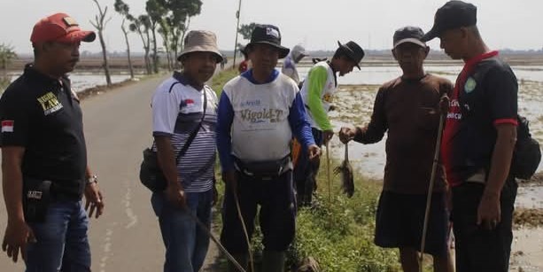 Jaga Ketahanan Pangan, Warga Desa Mundakjaya Indramayu Gelar Kegiatan Gropyokan Tikus